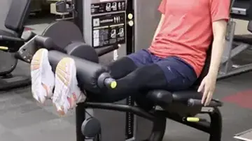 レッグエクステンション